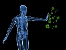 Immune System Support and Recipes