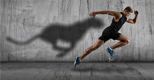 Improving your quickness and agility on the tennis court